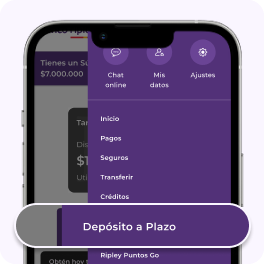 Paso 2: Accede a la sección Depósito a Plazo